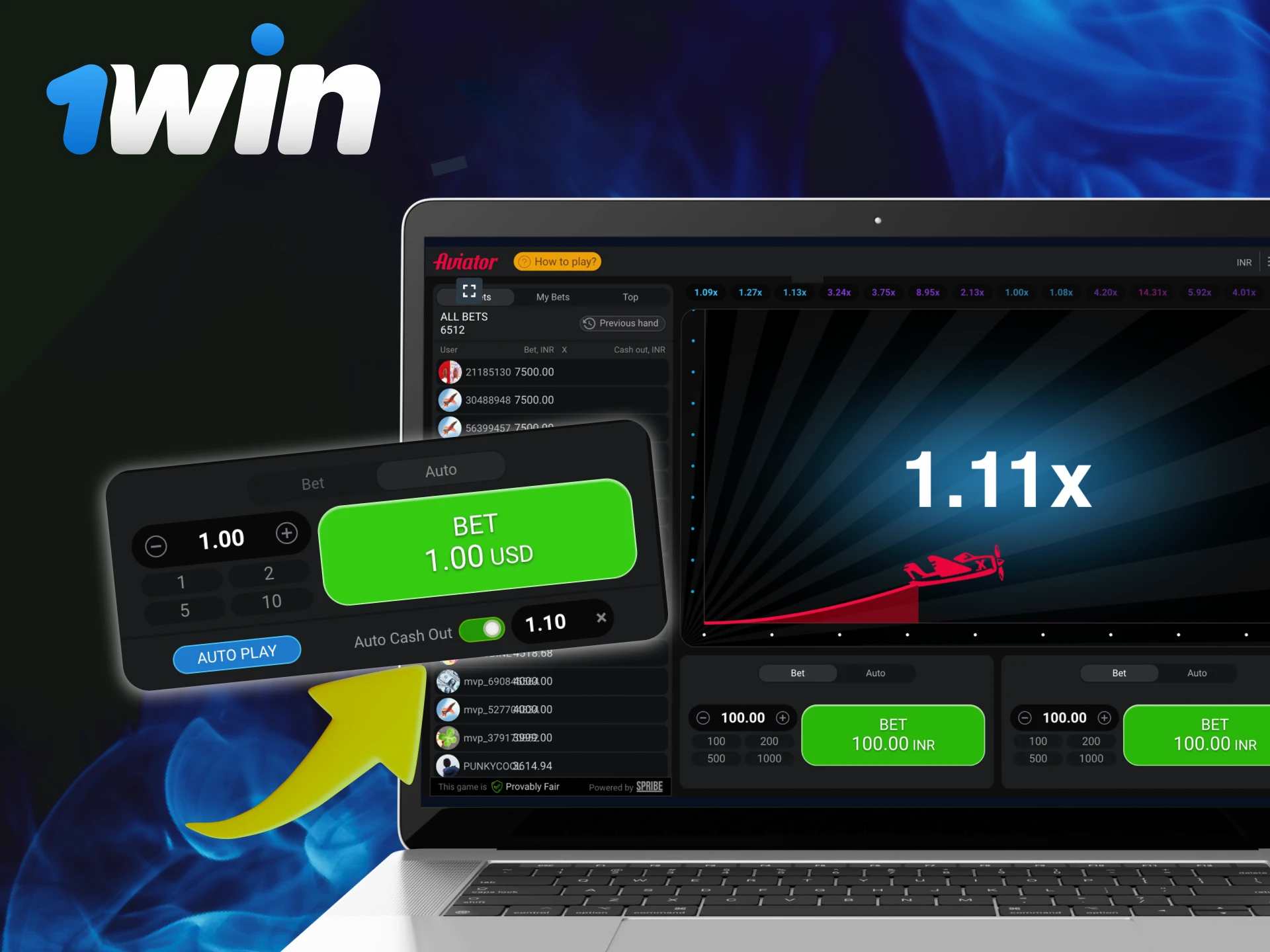 What is an automatic bet and cashout in the game Aviator casino 1Win.